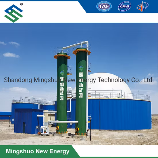 Dry Desulfurization Equipment for Removal of Hydrogen Sulfide